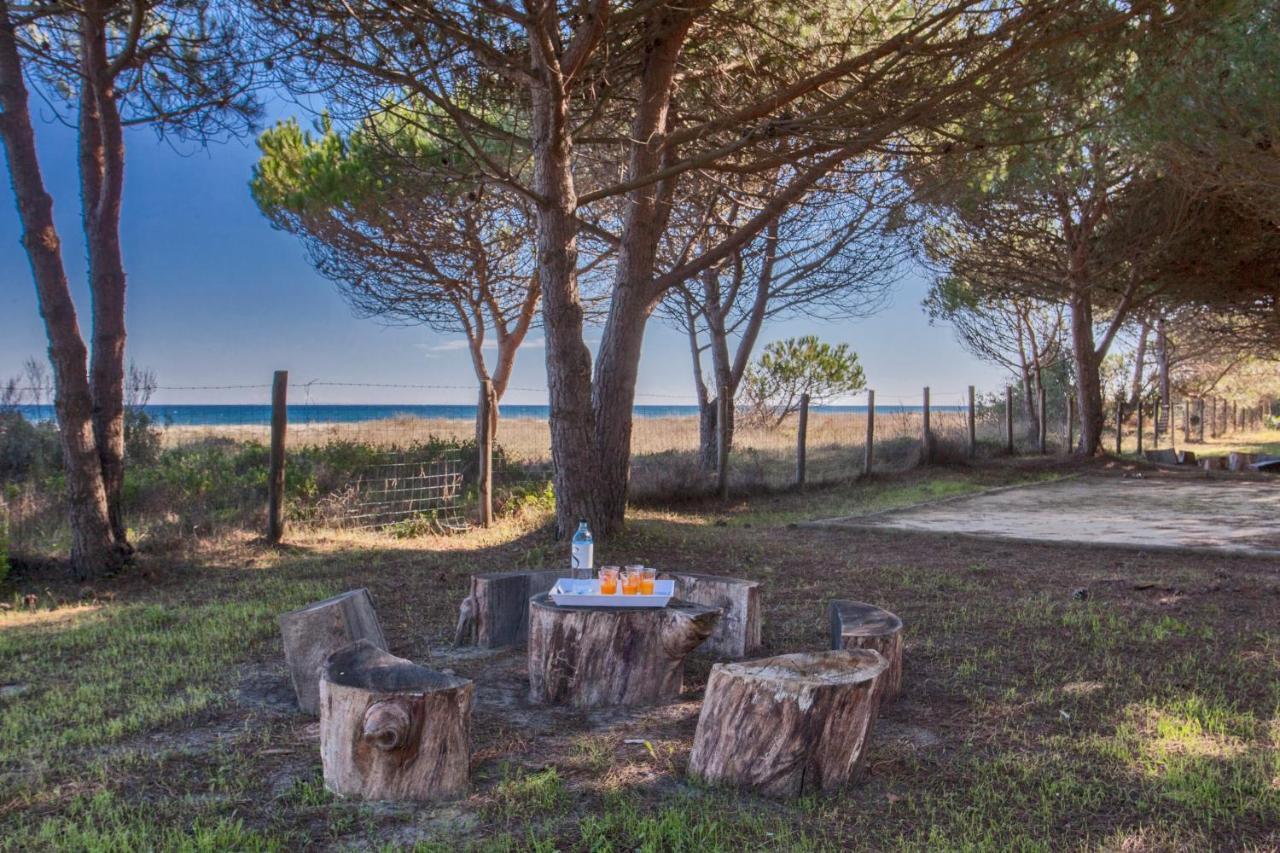 Maisons Bord De Mer- Marine De Sorbo - Gites 3 Epis Pinarellu Extérieur photo